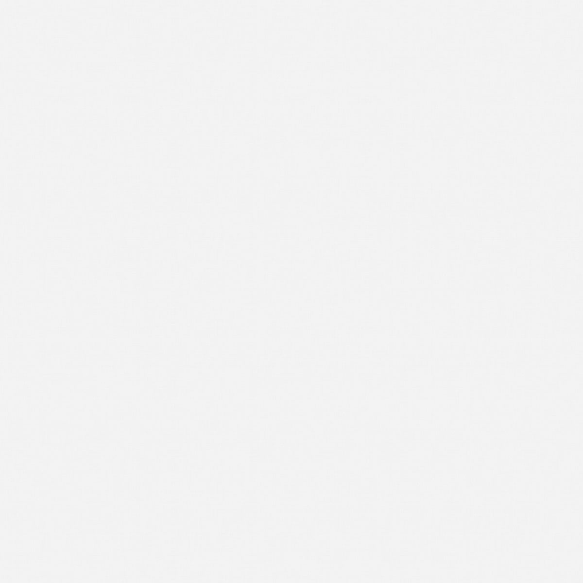 Branco Supremo - Matt - Chapa de MDF Arauco 6mm