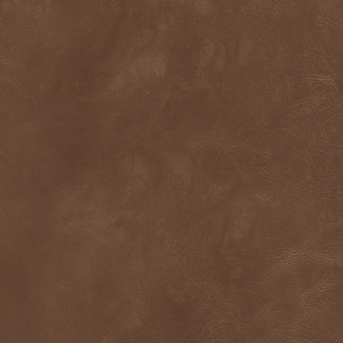 Camelo - Chapa de MDF Arauco 15mm