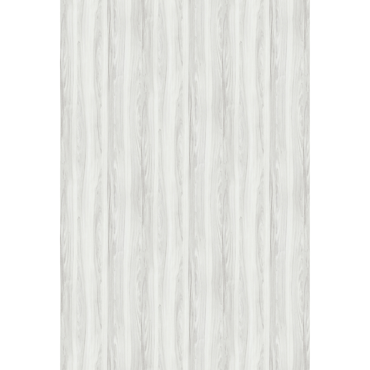 Castanha Branca - Chapa de MDF Arauco 15mm