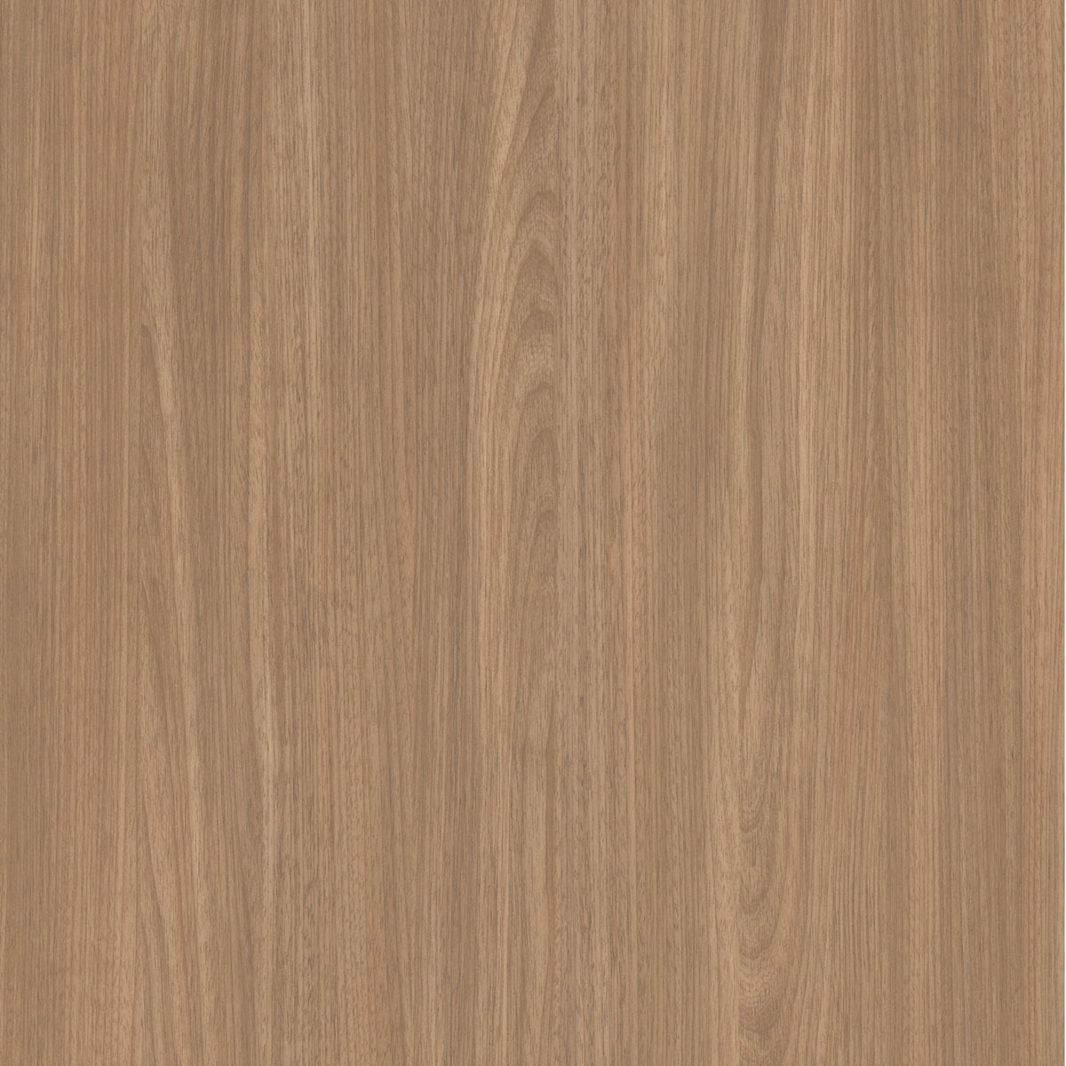 Jequitibá - Chapa de MDF Arauco 15mm